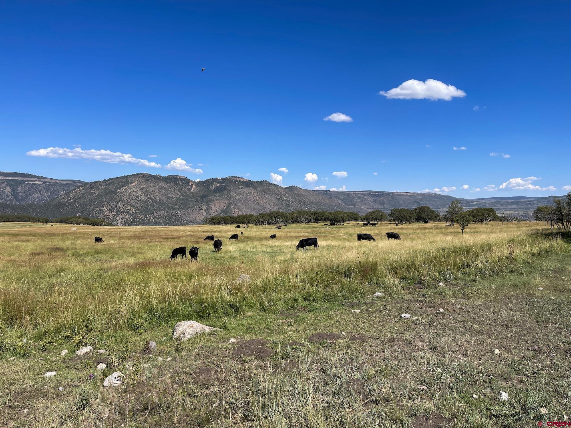 22000 P77 Road Cimarron, CO 81220 - Photo 22 of 37