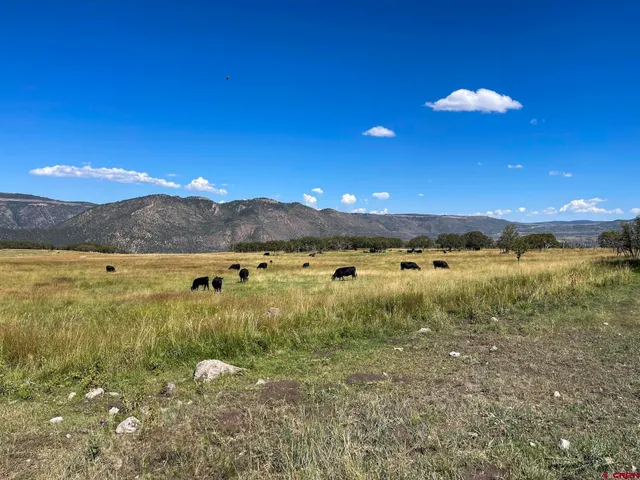 a view of a lake with a mountain in the background