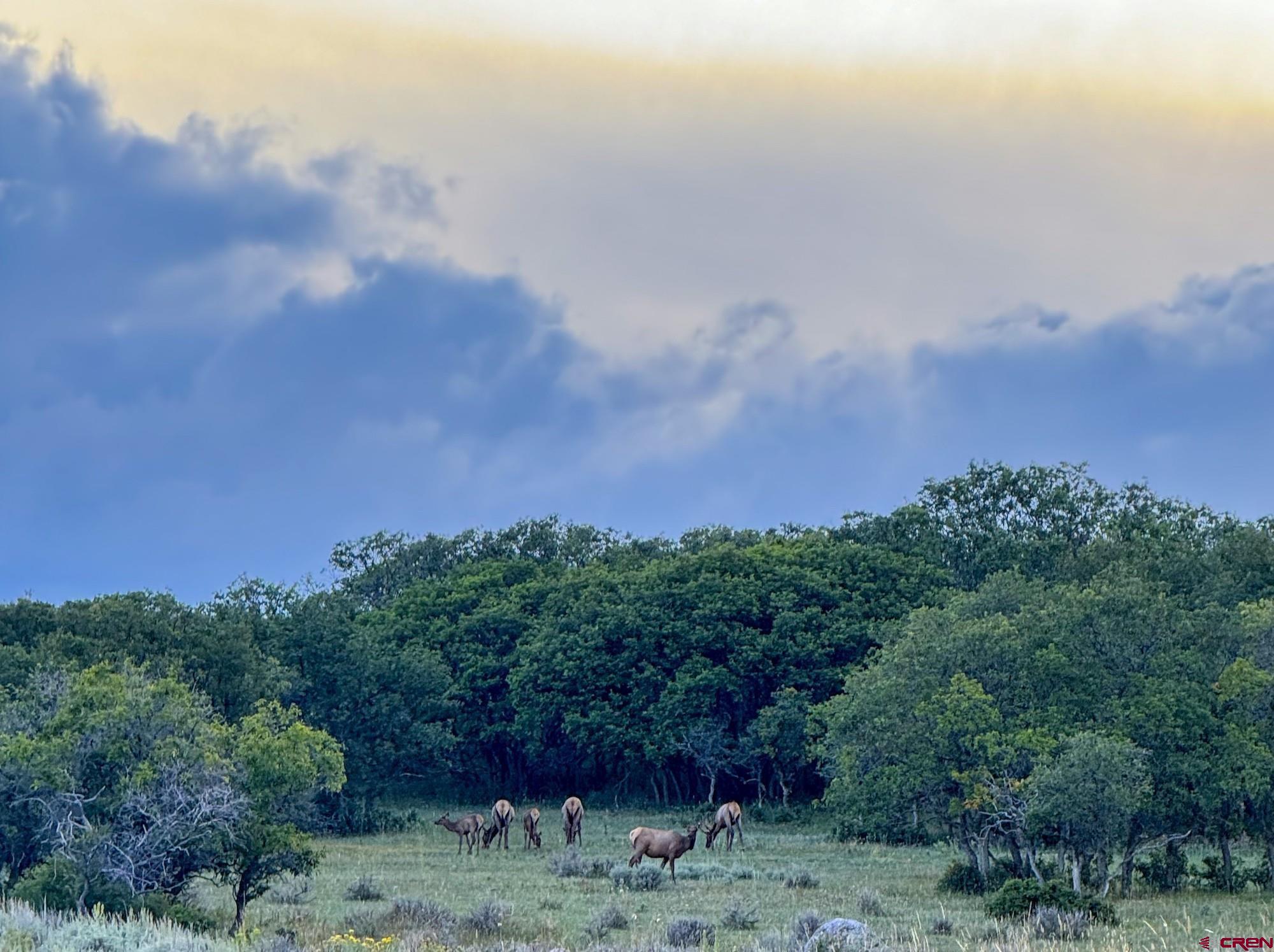 22000 P77 Road Cimarron, CO 81220 - Photo 29 of 37