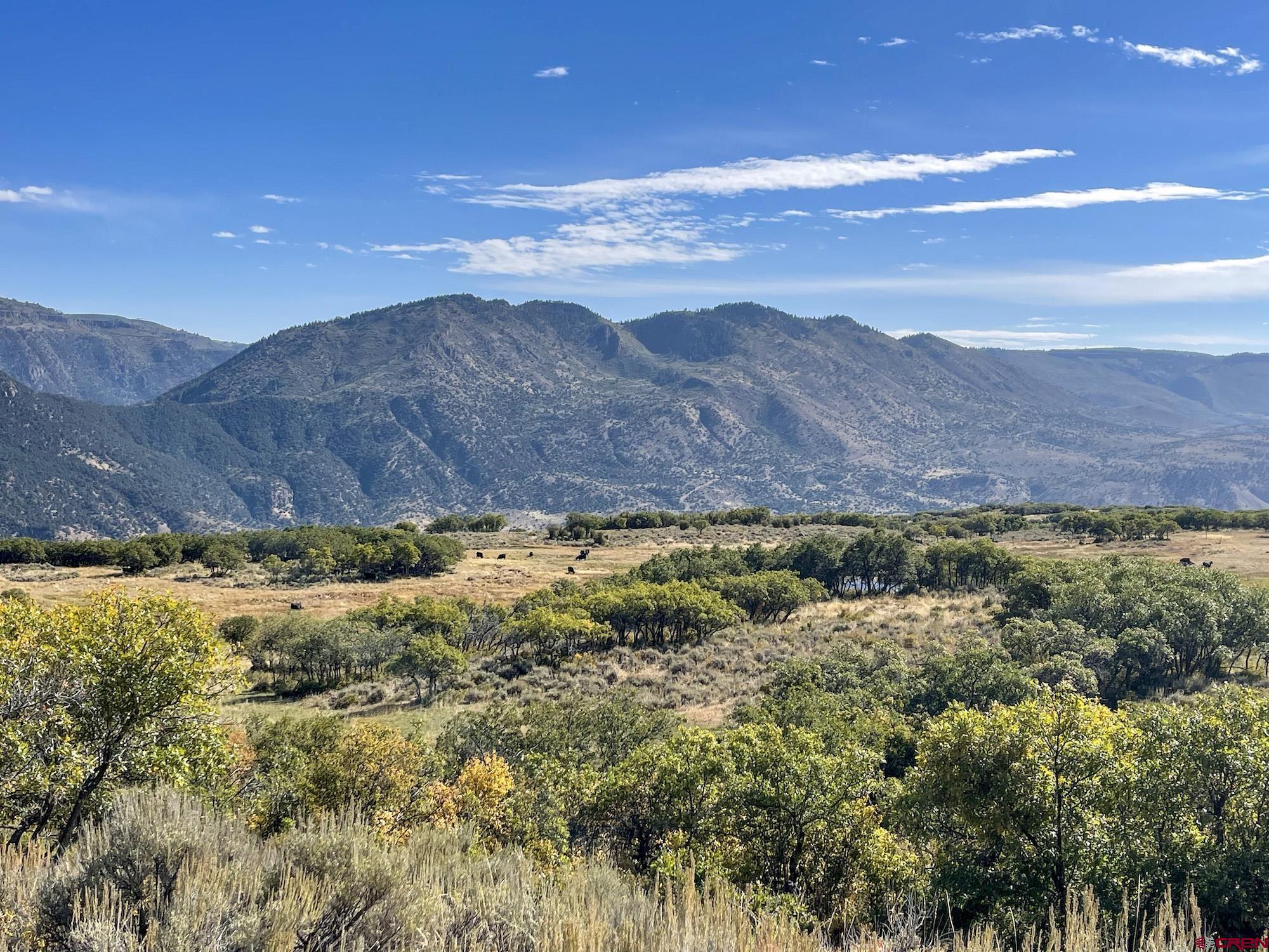 22000 P77 Road Cimarron, CO 81220 - Photo 8 of 37