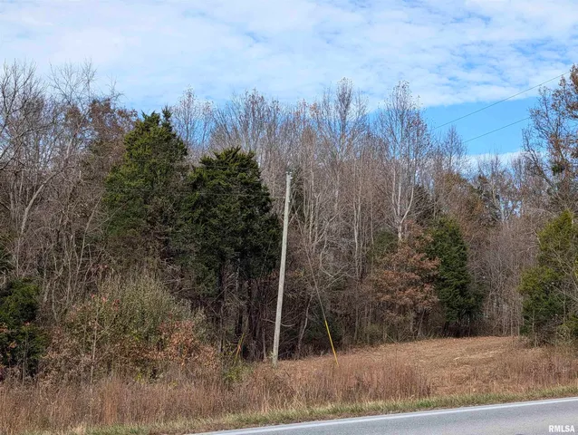 $120,000 | 0 State Highway, Stonefort, IL 62987