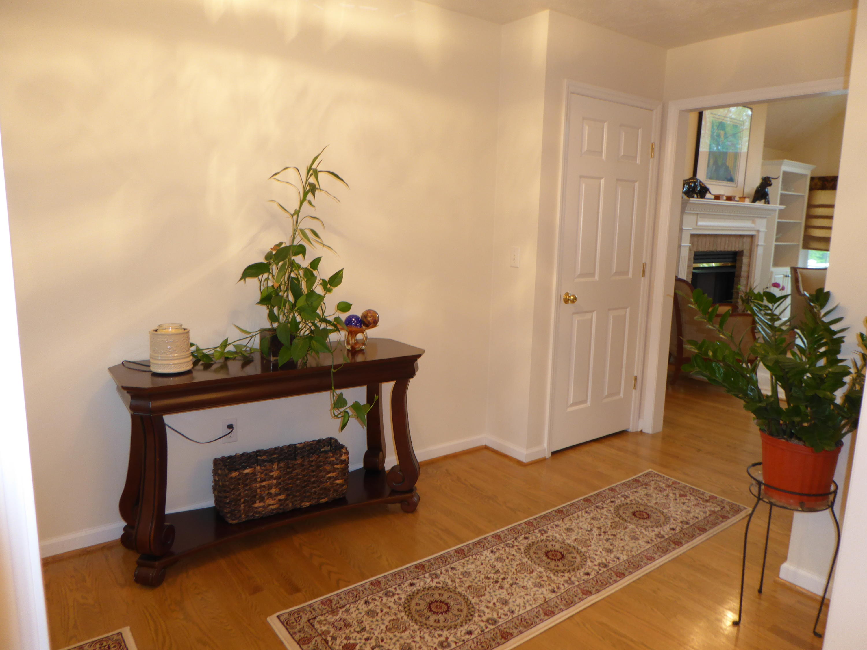 7740 Edwardsville Road Hardy, VA 24101 - Photo 38 of 92 a living room with furniture and a potted plant
