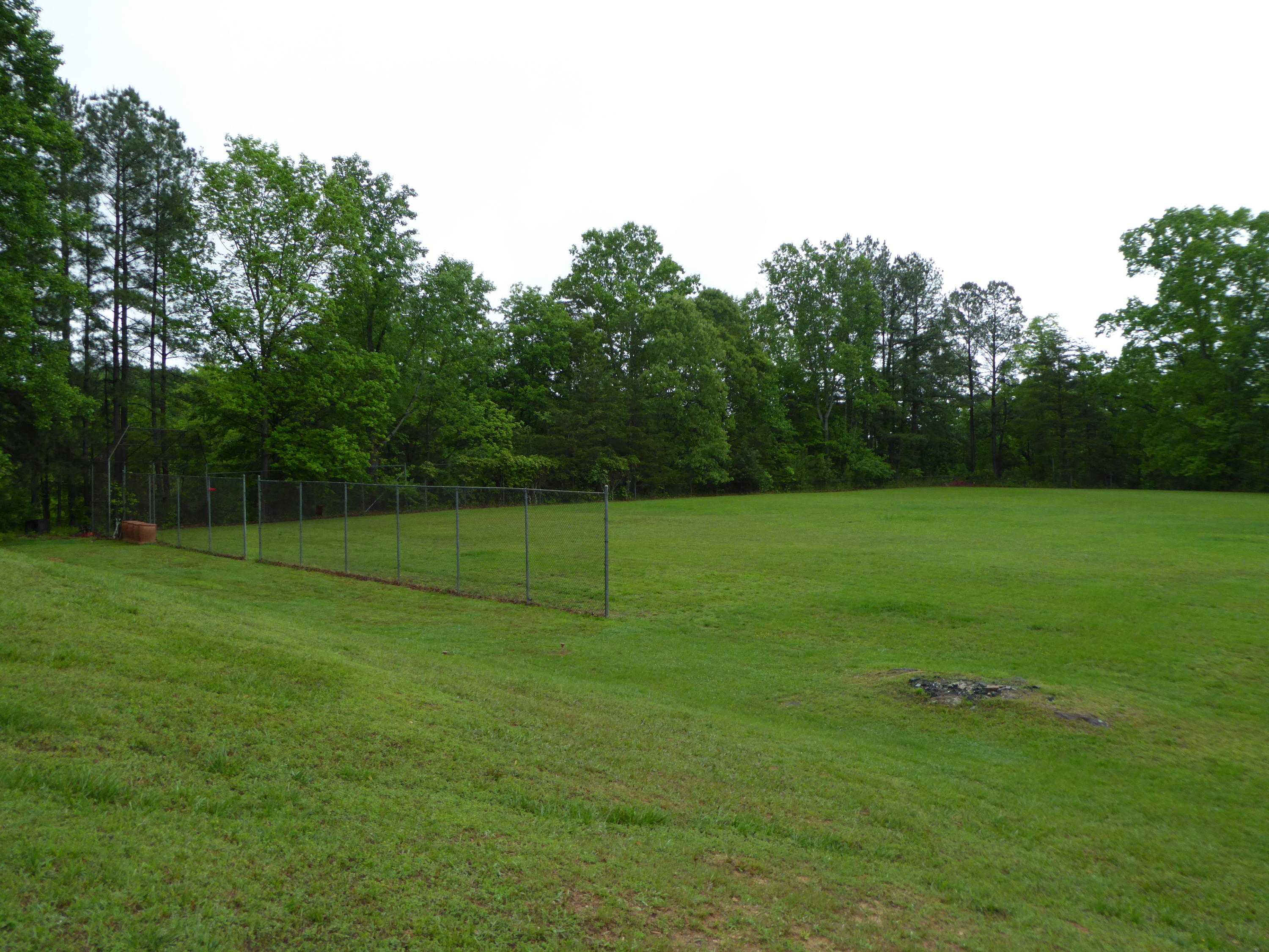 7740 Edwardsville Road Hardy, VA 24101 - Photo 78 of 92 a view of a field of grass and trees