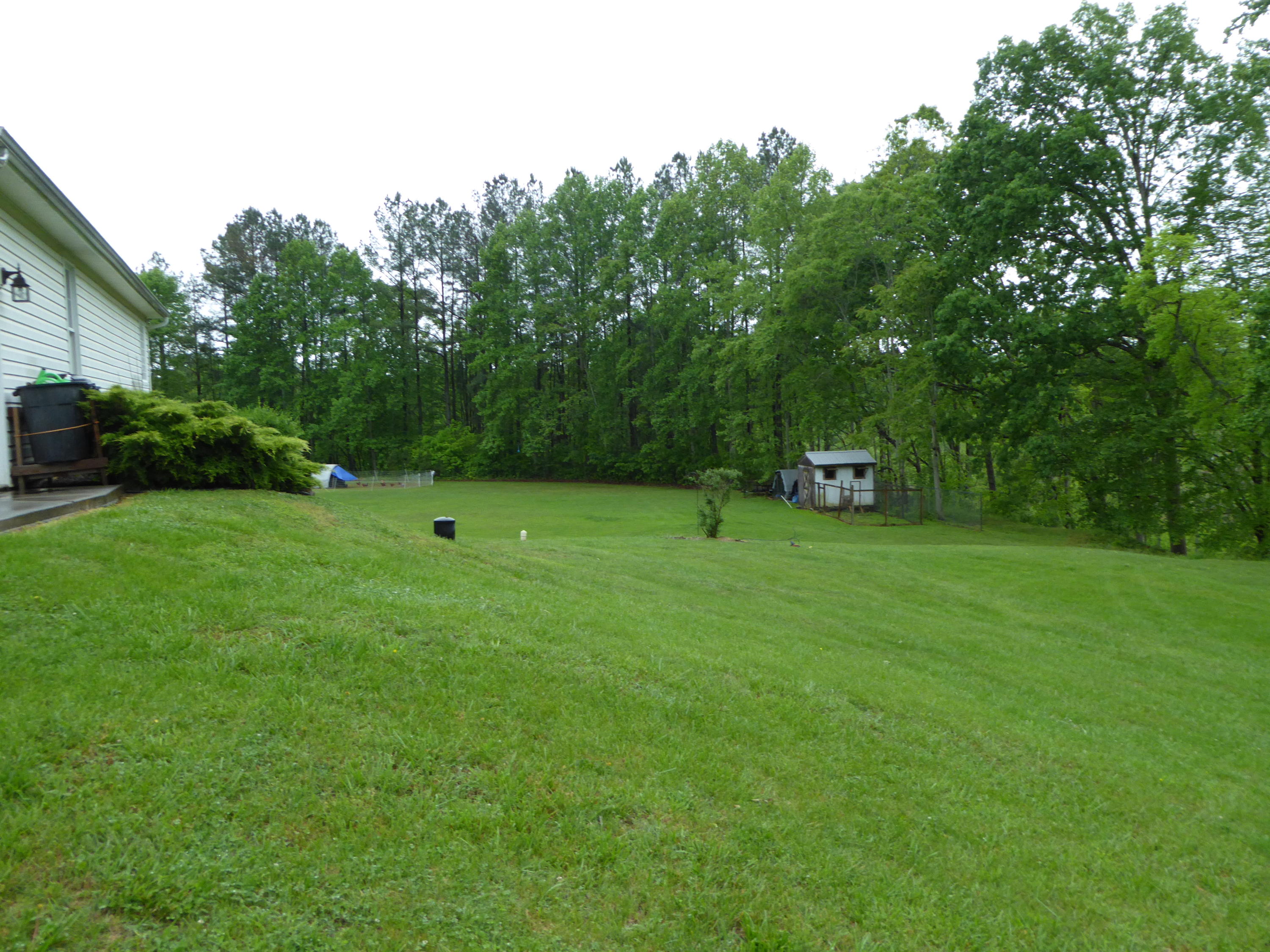 7740 Edwardsville Road Hardy, VA 24101 - Photo 82 of 92 a view of a tree in a park