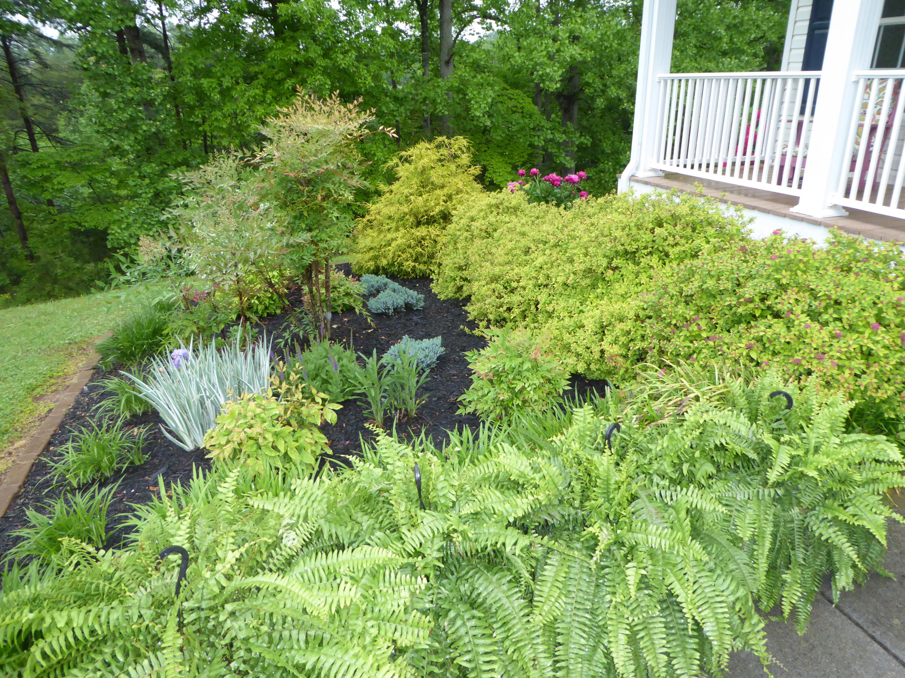 7740 Edwardsville Road Hardy, VA 24101 - Photo 85 of 92 86 Landscaping