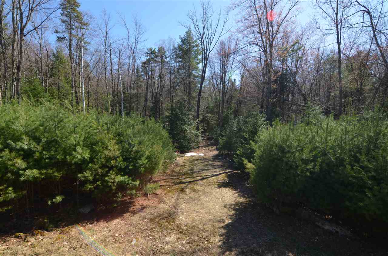 246 Youngs Hill Road Sunapee, NH 03782 - Photo 29 of 30 Gallery Image 29