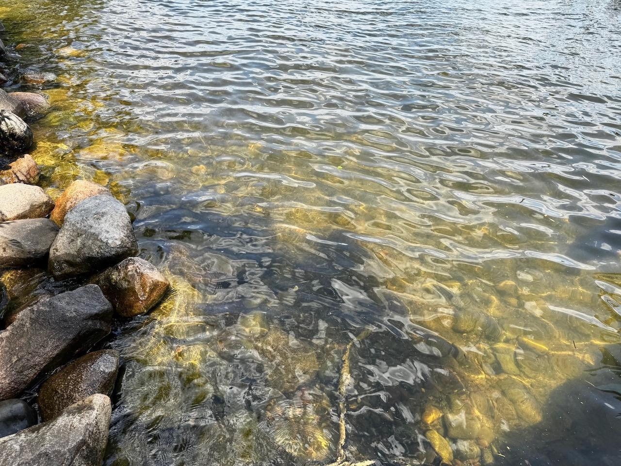 8766 Interlachen Road Lake Shore, MN 56468 - Photo 35 of 42