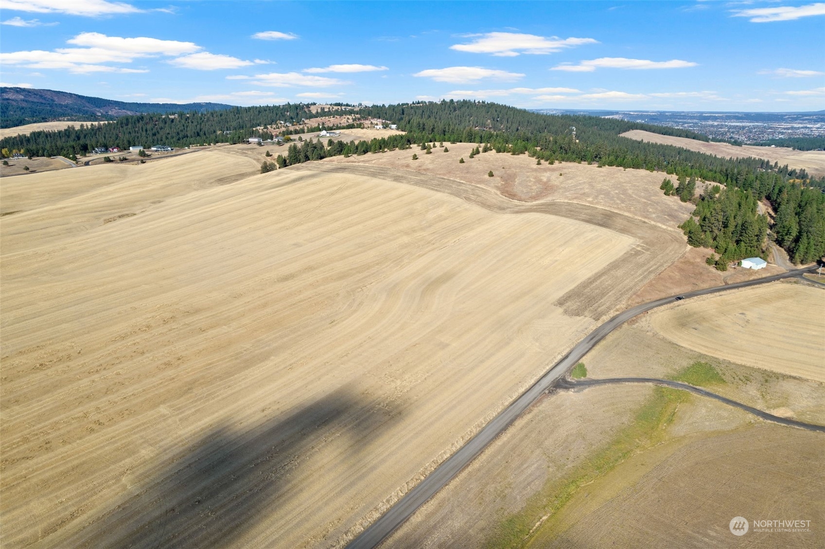 0 South Jackson Road Mica, WA 99023 - Photo 10 of 34