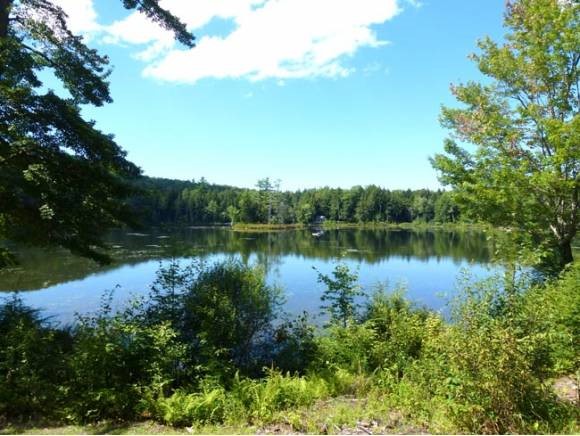 1281 Cole Pond Road Jamaica, VT 05343 - Photo 4 of 29 Gallery Image 4