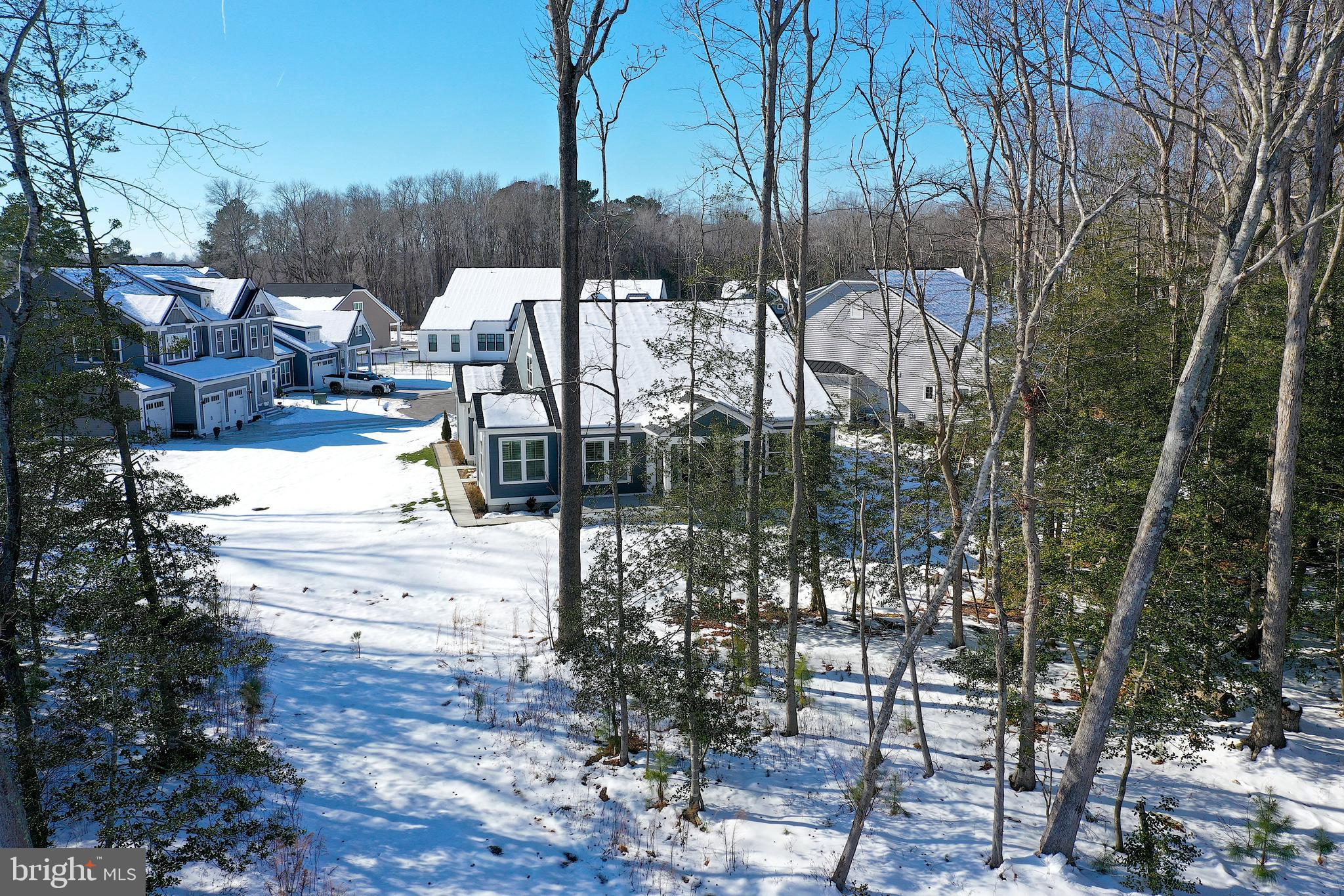32209 Longleaf Road Frankford, DE 19945 - Photo 100 of 106 Gallery Image 100