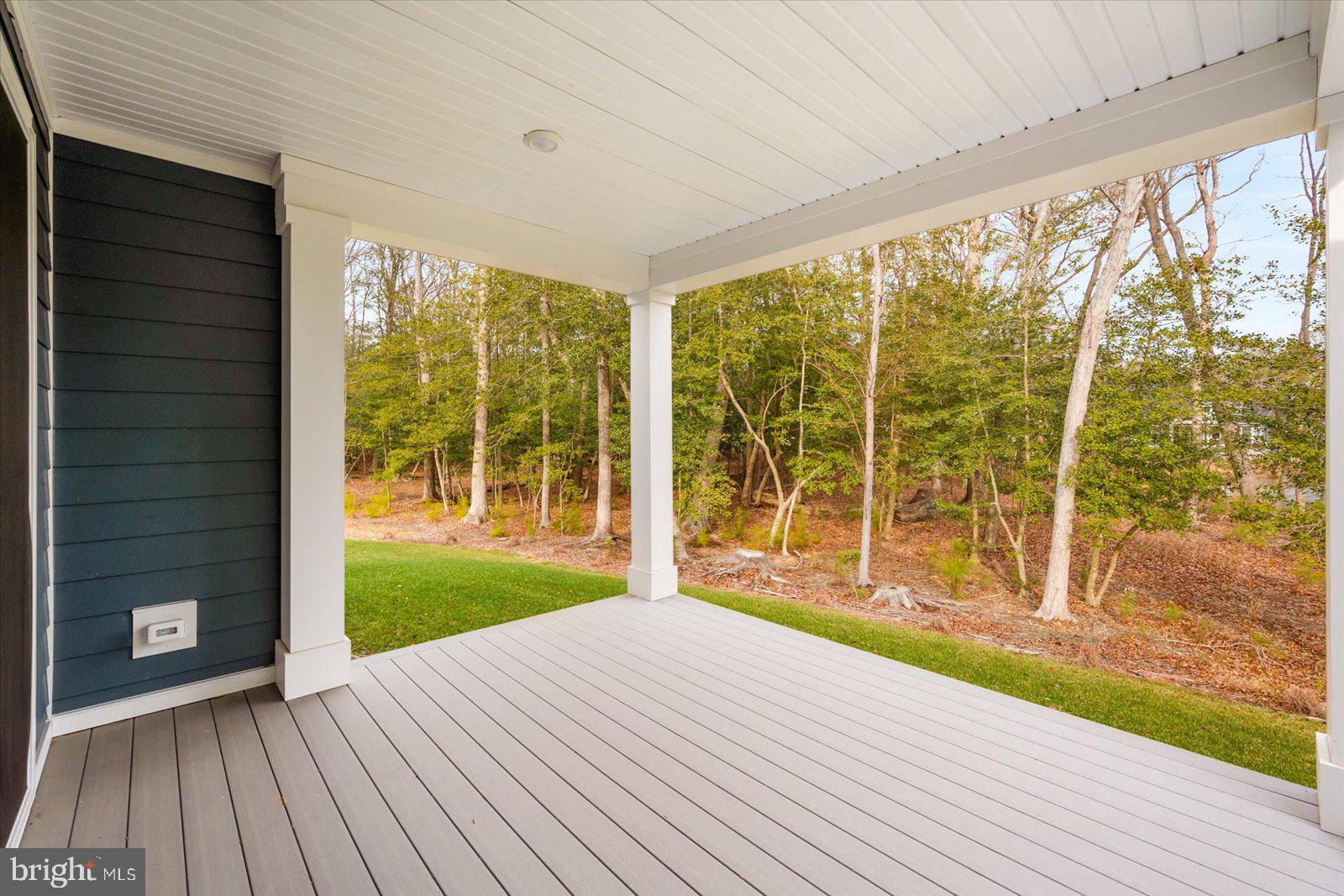 32209 Longleaf Road Frankford, DE 19945 - Photo 21 of 106 Private & Wooded Backyard