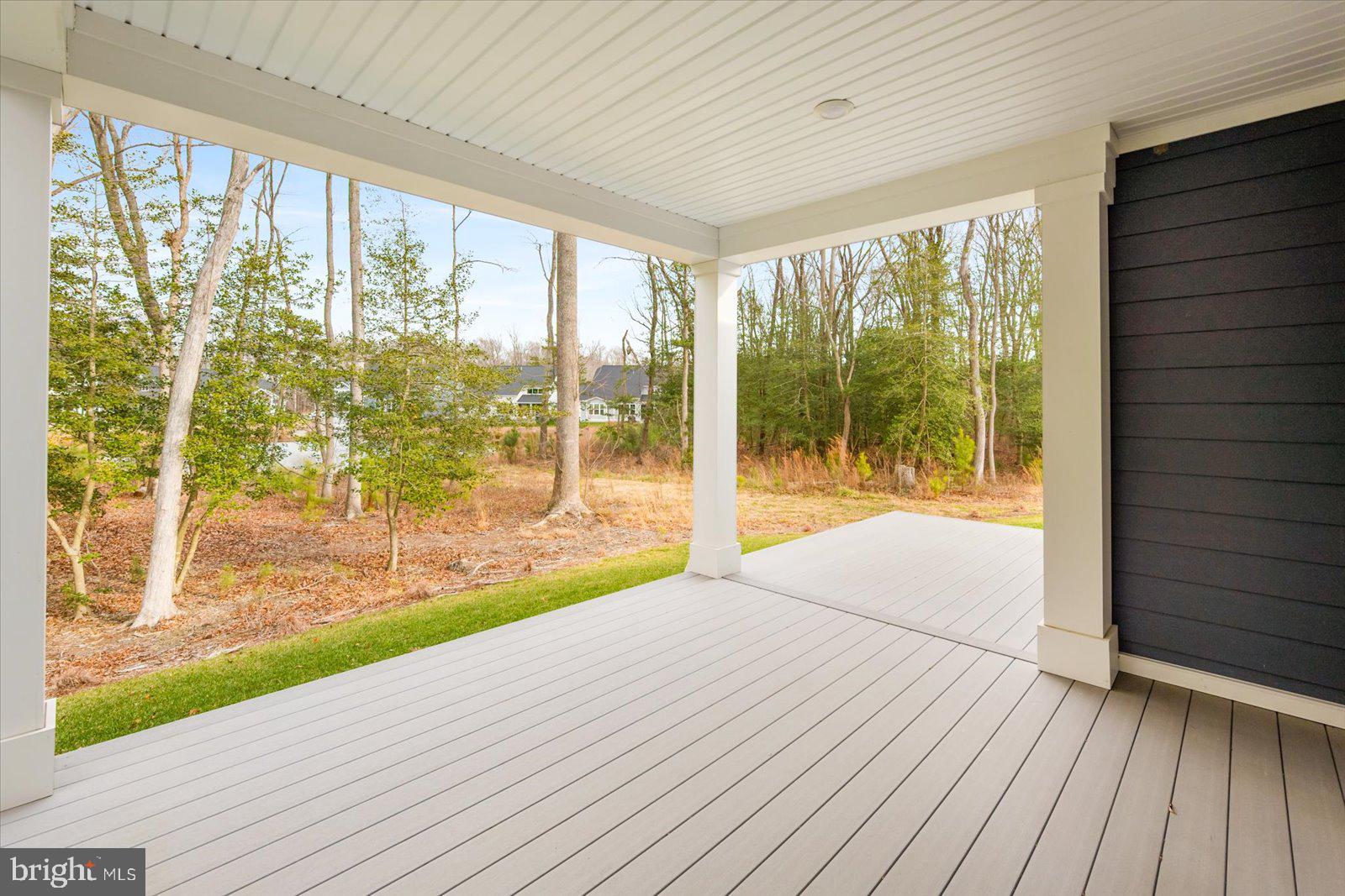 32209 Longleaf Road Frankford, DE 19945 - Photo 23 of 106 Unobstructed Views
