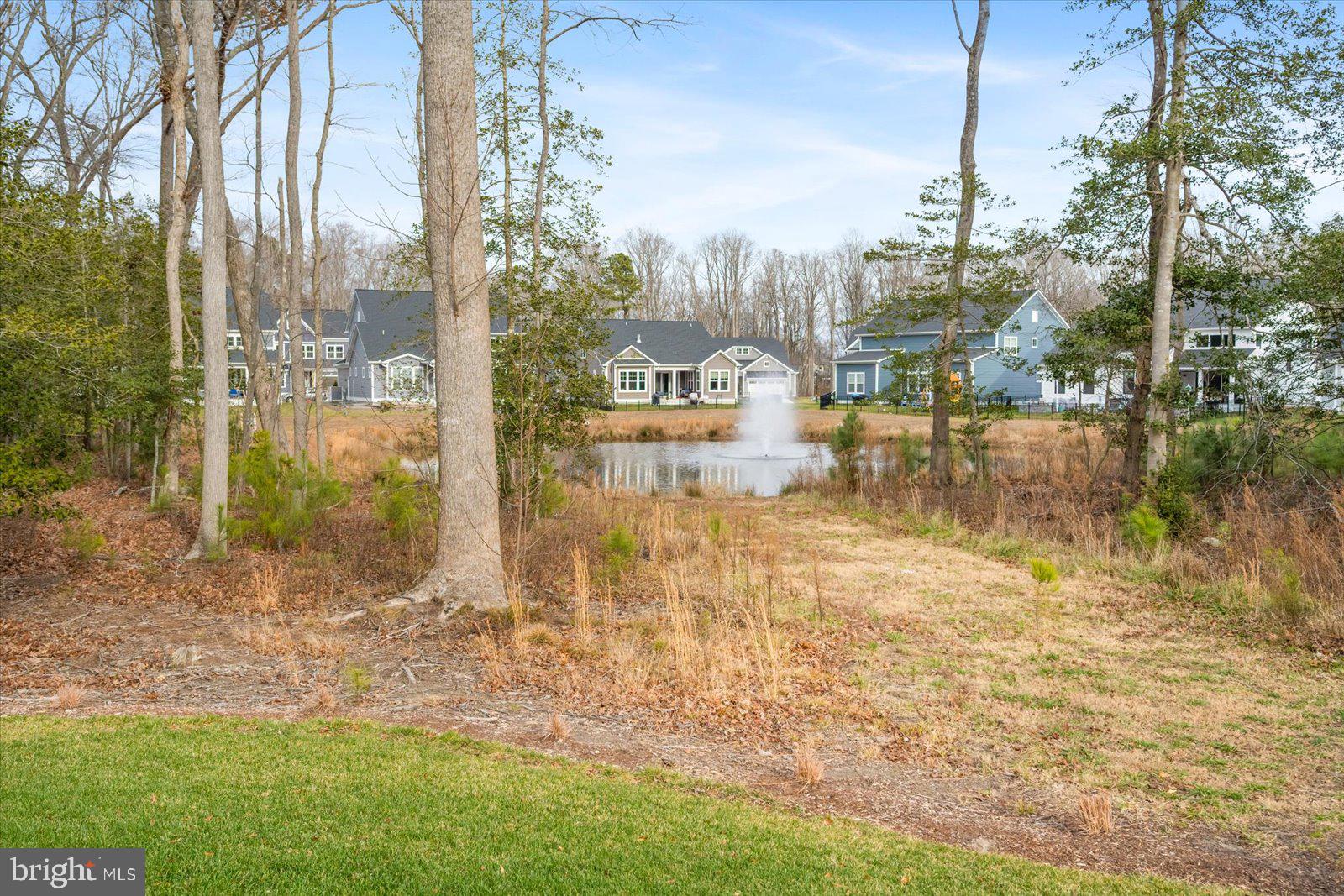 32209 Longleaf Road Frankford, DE 19945 - Photo 65 of 106 Backyard