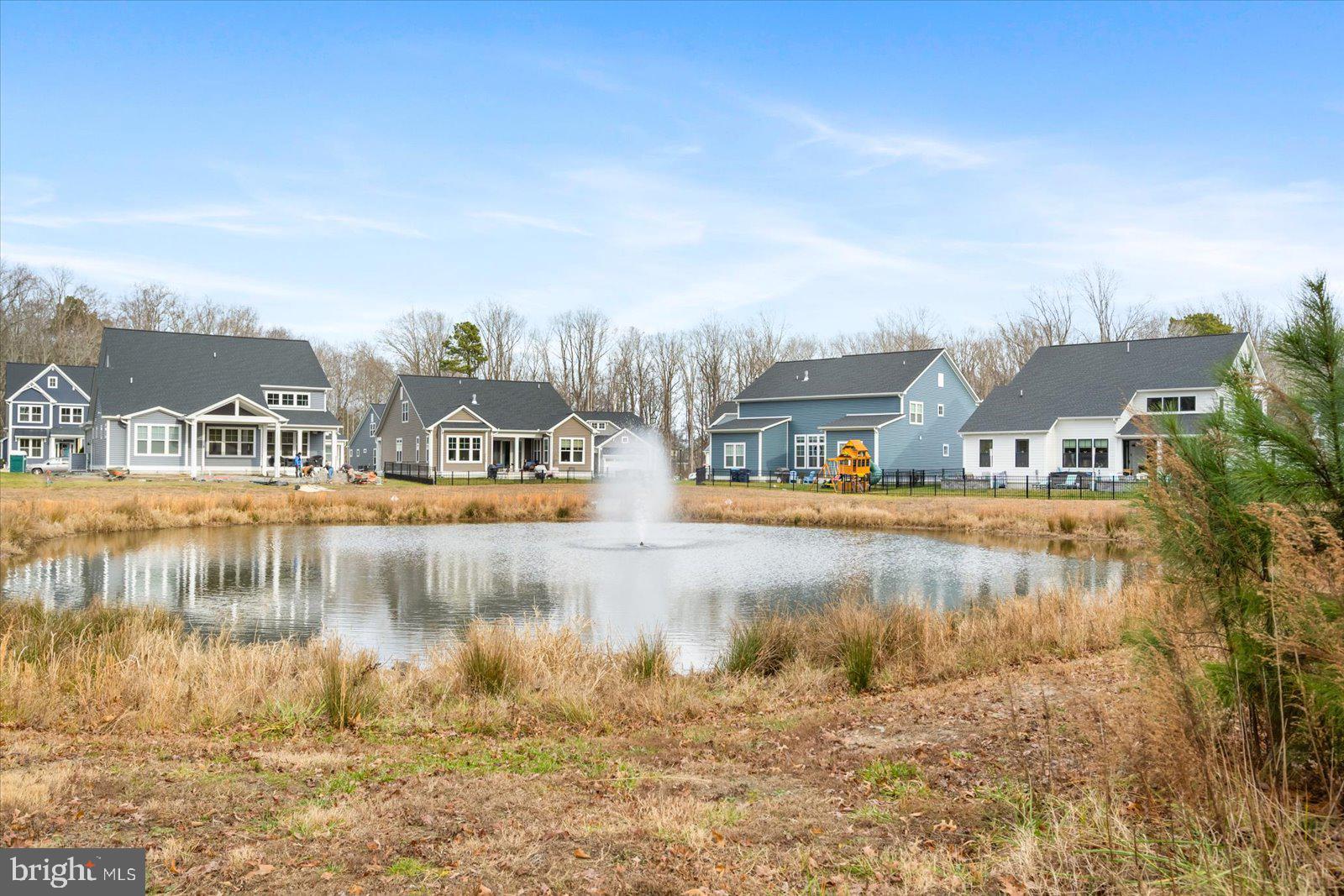 32209 Longleaf Road Frankford, DE 19945 - Photo 66 of 106 Backyard Pond View