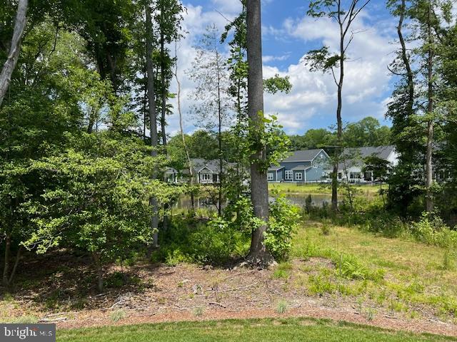 32209 Longleaf Road Frankford, DE 19945 - Photo 78 of 106 Wooded Lot