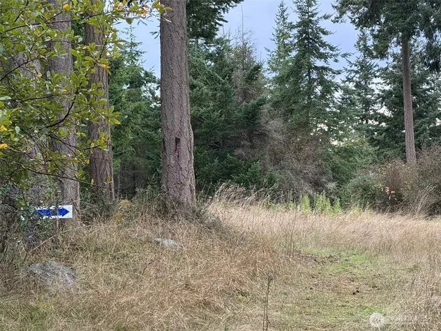 $199,900 | 29922 Sr 525, Coupeville, WA 98239