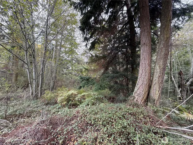 $199,900 | 29922 Sr 525, Coupeville, WA 98239