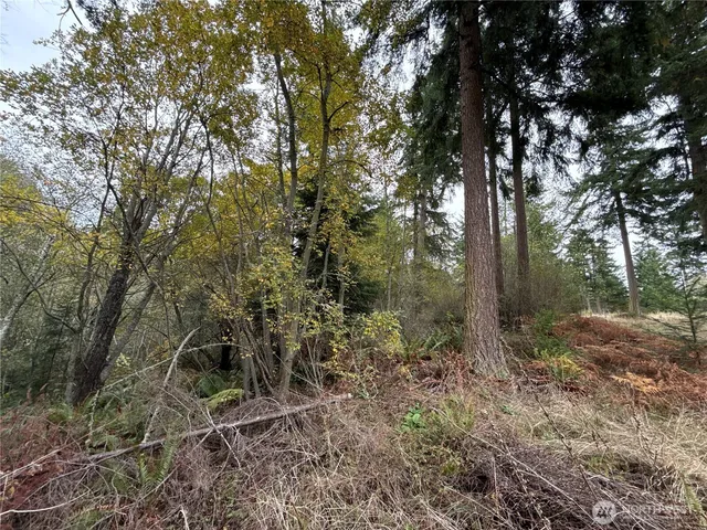 $199,900 | 29922 Sr 525, Coupeville, WA 98239