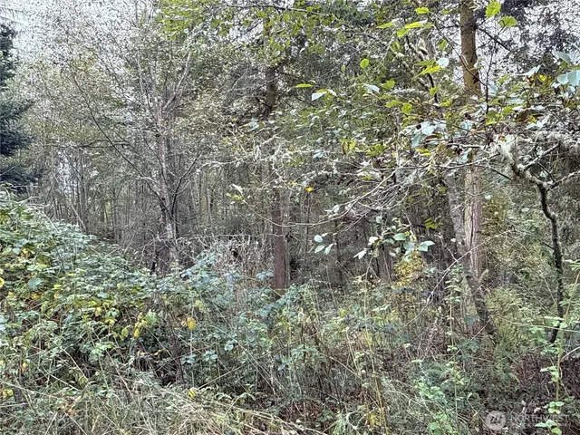 $199,900 | 29922 Sr 525, Coupeville, WA 98239