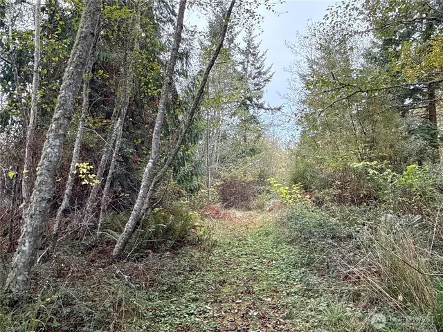 $199,900 | 29922 Sr 525, Coupeville, WA 98239