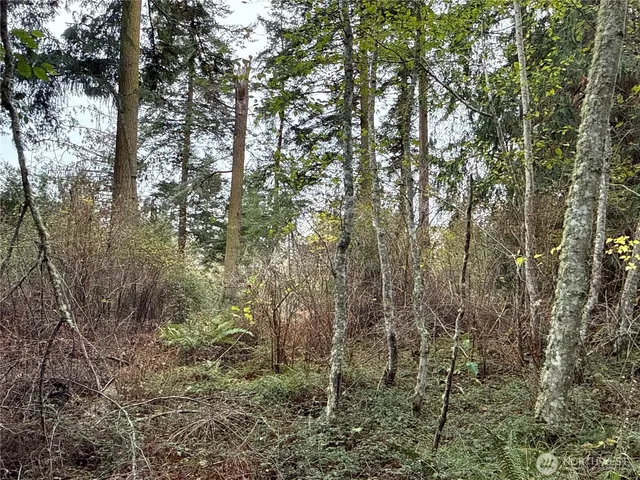 $199,900 | 29922 Sr 525, Coupeville, WA 98239