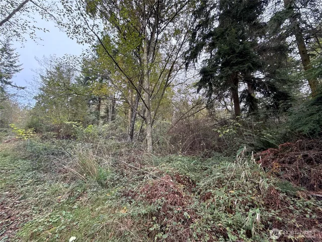 $199,900 | 29922 Sr 525, Coupeville, WA 98239