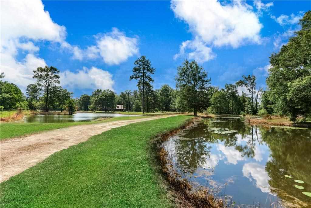 31095 North Doyle Road Holden, LA 70744 - Photo 23 of 27 Gallery Image 23