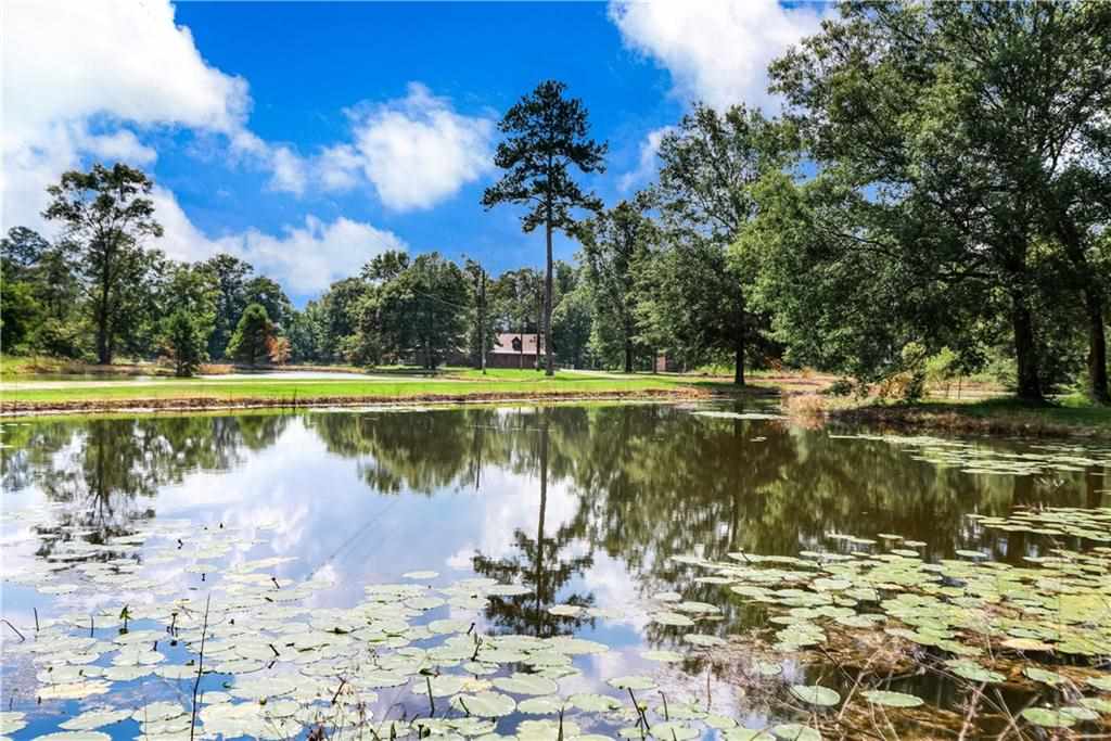 31095 North Doyle Road Holden, LA 70744 - Photo 24 of 27 Gallery Image 24