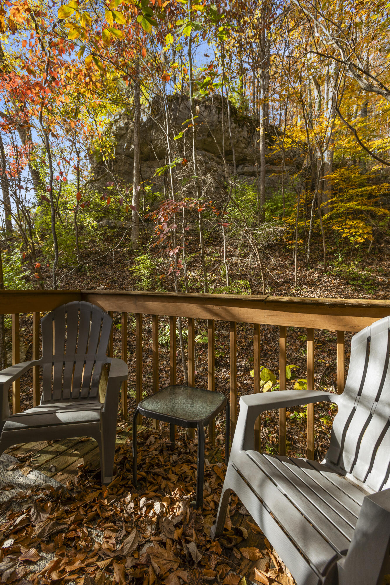 367 Robbie Ridge Road Stanton, KY 40380 - Photo 39 of 48 I82A5144