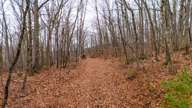 $160,000 | 17 Wall Street, Bolton, CT 06043