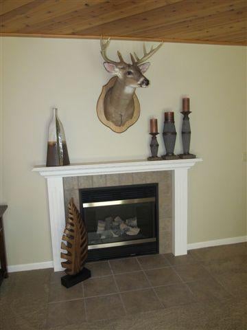 9010 West Miles Road Cheboygan, MI 49721 - Photo 3 of 21 Gallery Image 3