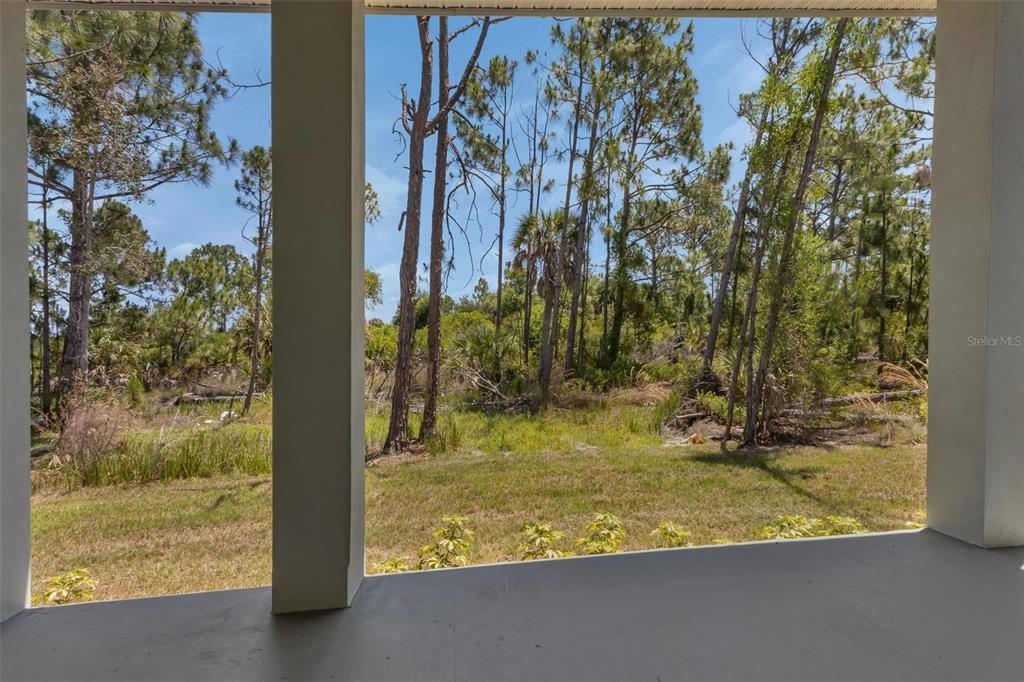 2444 Jacobs Street Port Charlotte, FL 33953 - Photo 43 of 52 a view of swimming pool from a yard
