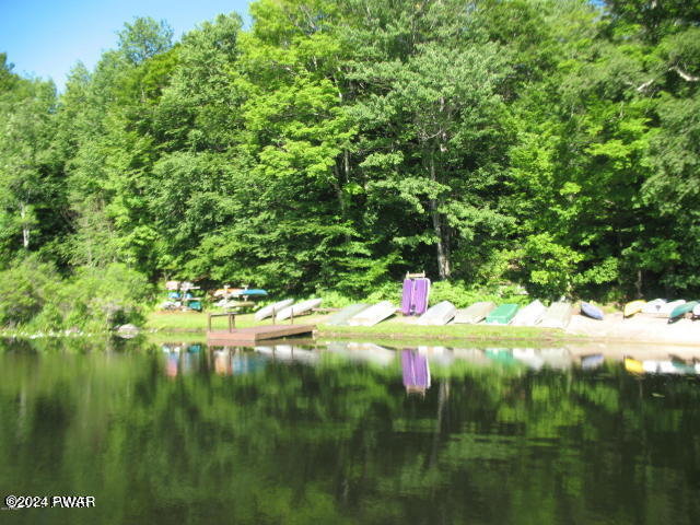 82 Ridge Road Lake Ariel, PA 18436 - Photo 51 of 61 CLP Great Fishing