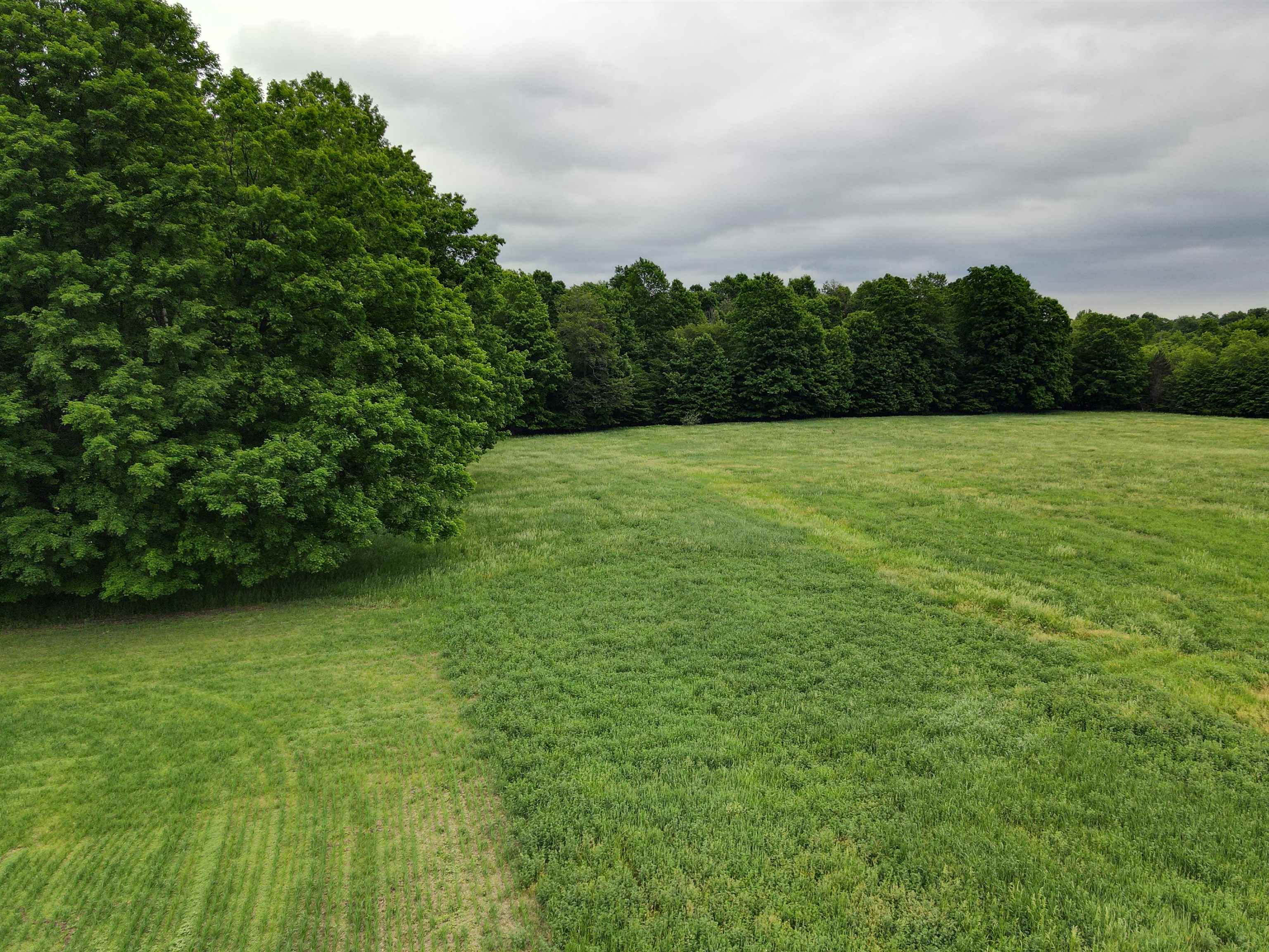 120-acres Blackman Road Kingsley, MI 49649 - Photo 4 of 12