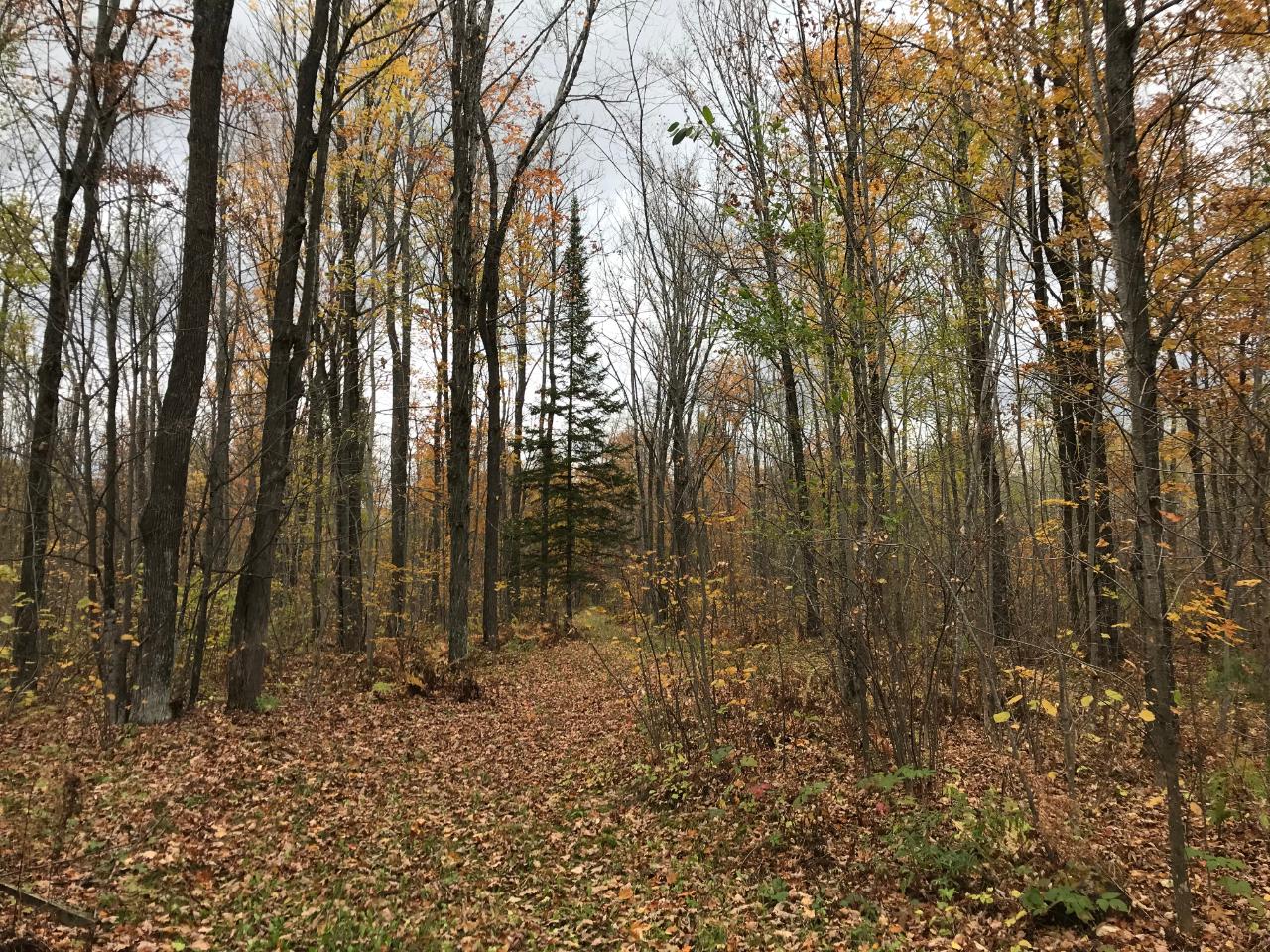 On Turtle Creek Road, Unit LOT 9 Florence, WI 54121 - Photo 1 of 7 Gallery Image 1