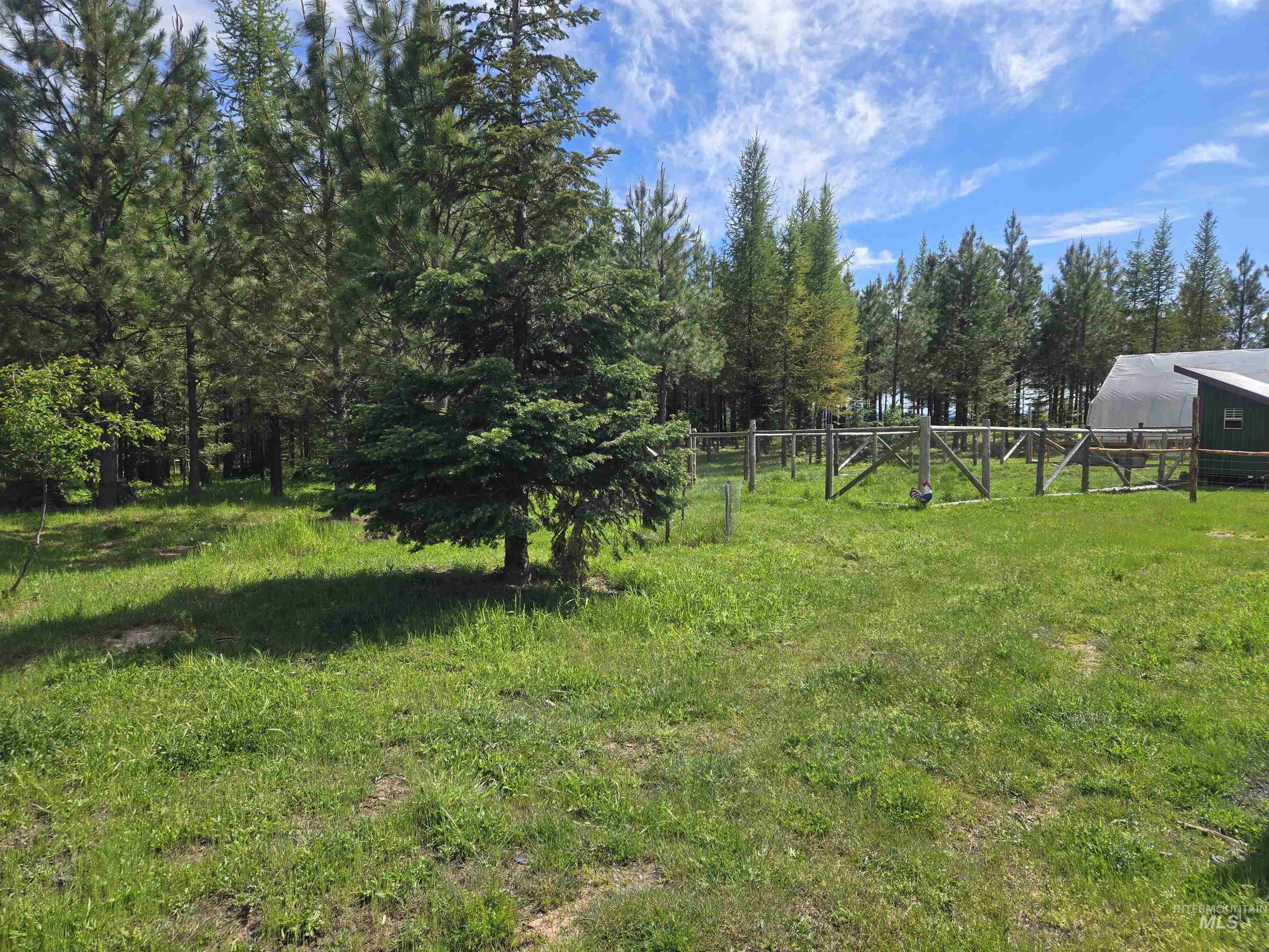 11970 Upper Fords Creek Road Orofino, ID 83544 - Photo 12 of 41