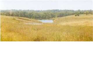 0 Valley Hill Road Springfield, KY 40069 - Photo 1 of 1 Primary Photo