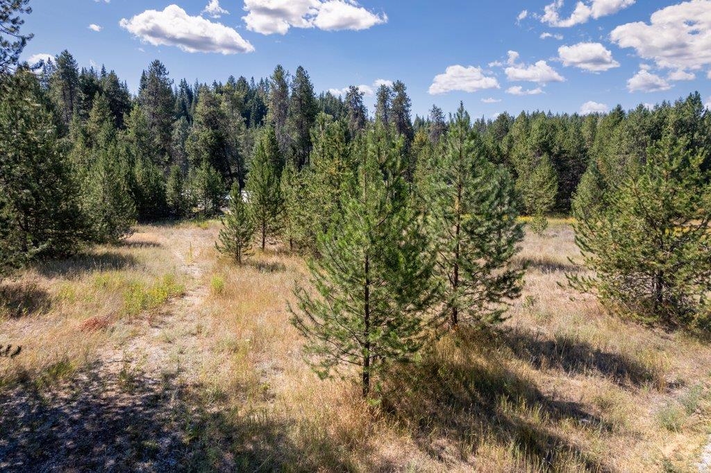 Nkn North Warren Avenue Newport, WA 99156 - Photo 8 of 17