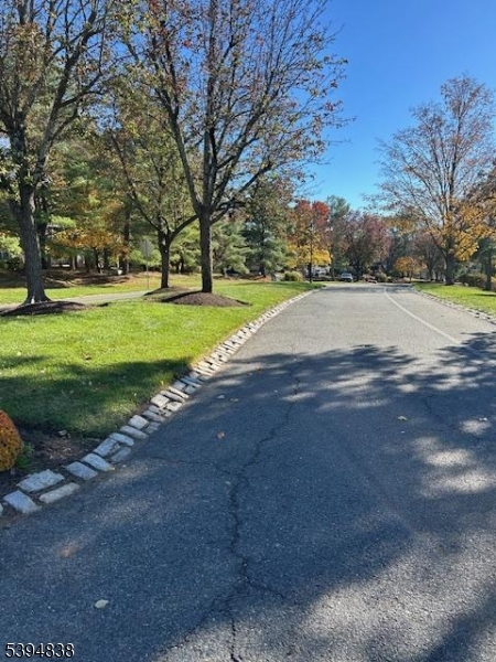 17 Crestmont Road Bedminster, NJ 07921 - Photo 16 of 20 a view of road with trees
