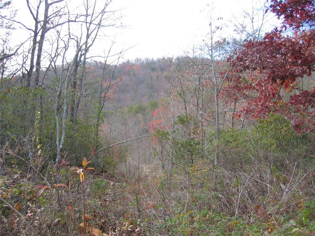 0 Pettit Ridge Road Ellijay, GA 30536 - Photo 1 of 1 Gallery Image 1