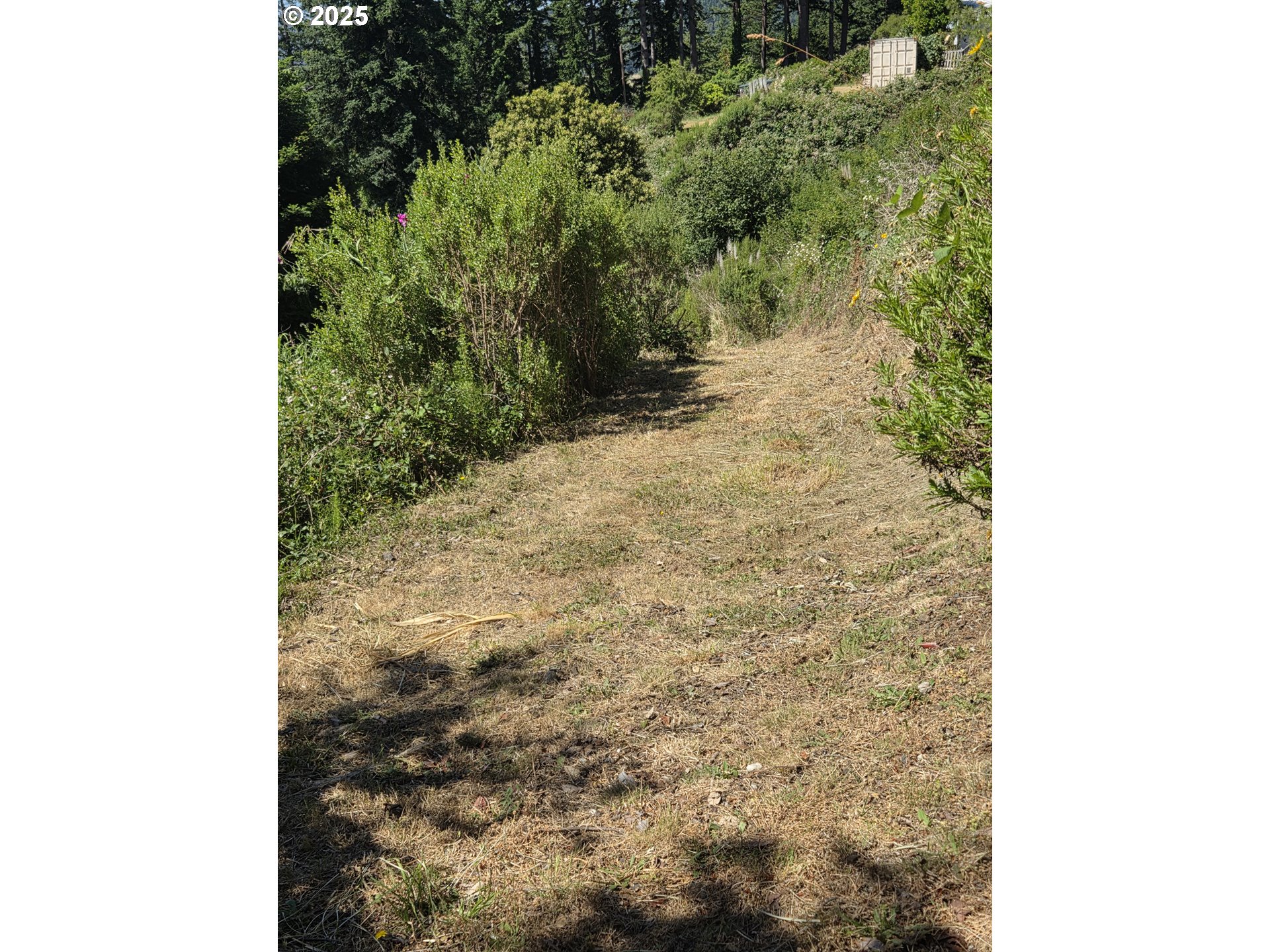 95800 Timber Hill Road Gold Beach, OR 97444 - Photo 36 of 47 Acreage