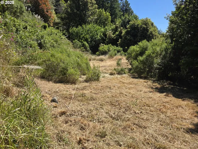 $625,000 | 95800 Timber Hill Road, Gold Beach, OR 97444