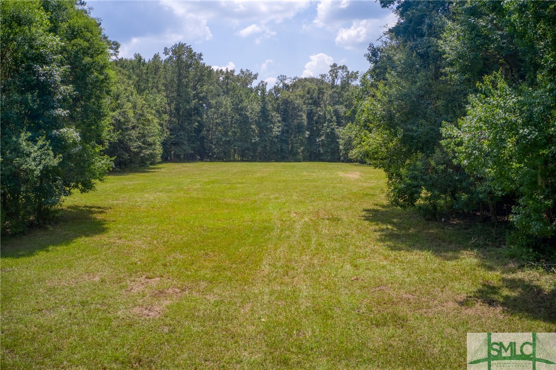 45 Perry Road Bloomingdale, GA 31302 - Photo 4 of 44 Back pasture of property goes beyond the rear tree