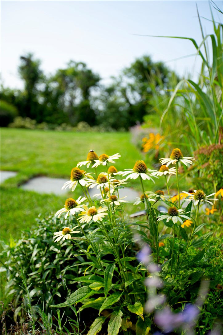 1062 Dunn Town Road Block Island, RI 02807 - Photo 12 of 46 Gallery Image 12