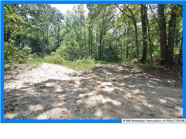 5 Woolsey Road Olive Branch, MS 38654 - Photo 2 of 3 Additional Photo