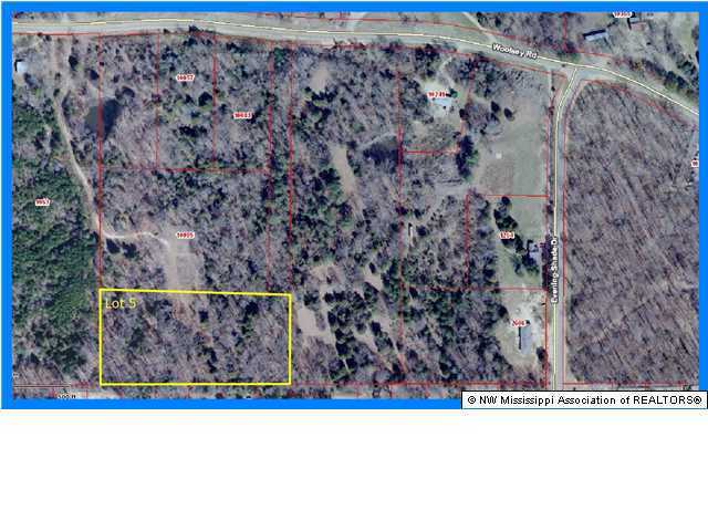 5 Woolsey Road Olive Branch, MS 38654 - Photo 3 of 3 Additional Photo