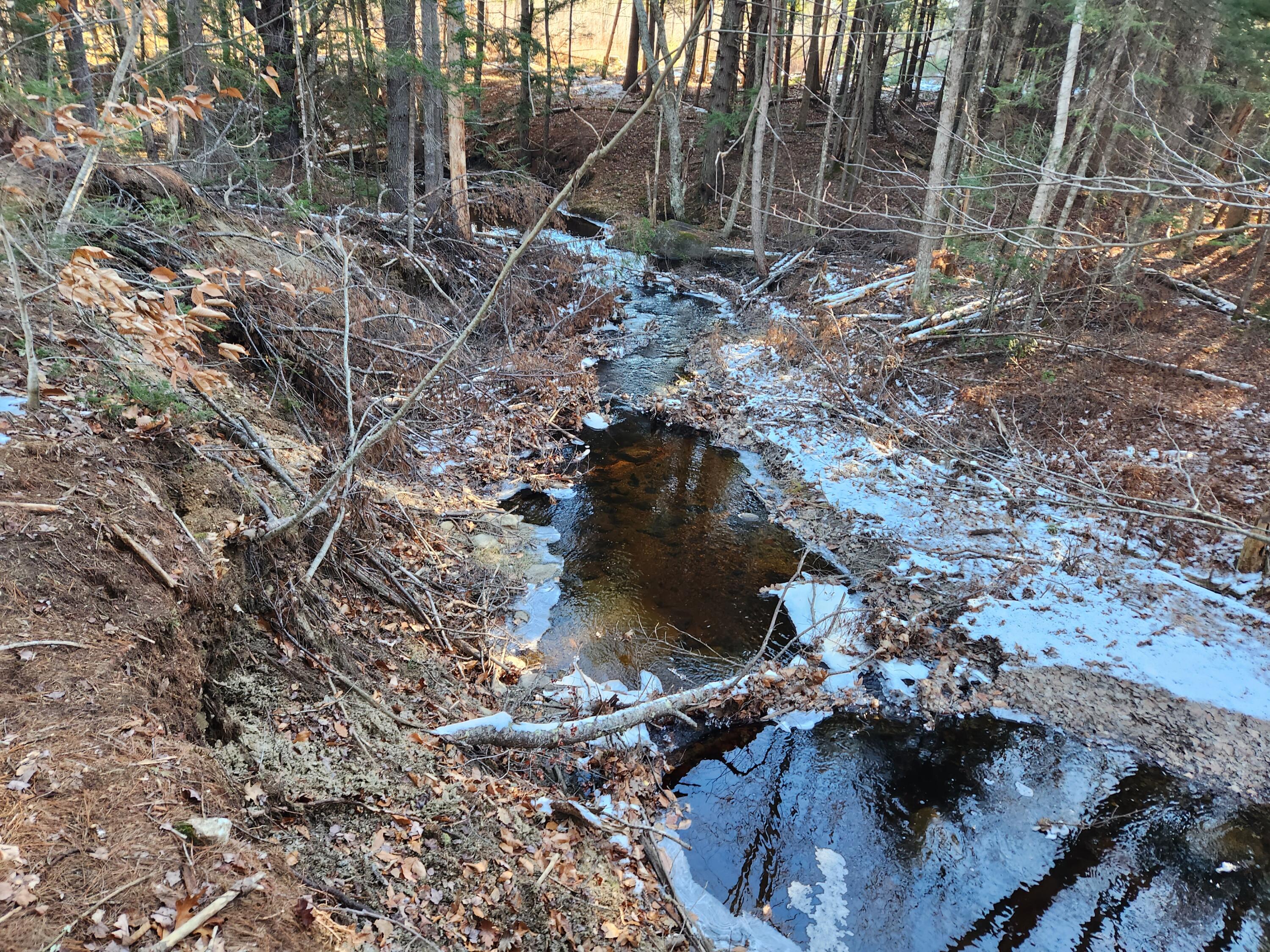 871 Buckfield Road Hebron, ME 04238 - Photo 4 of 18 20221122_083652