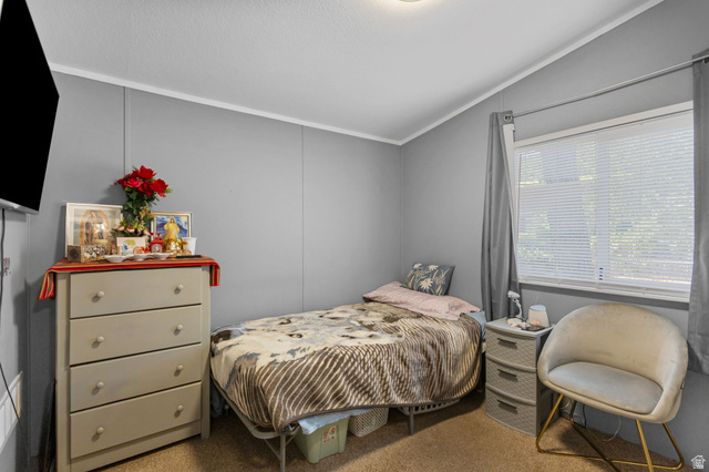 271 Mindella Way Layton, UT 84041 - Photo 22 of 27 Carpeted room with a single window, gray vertical paneling, and a white ceiling