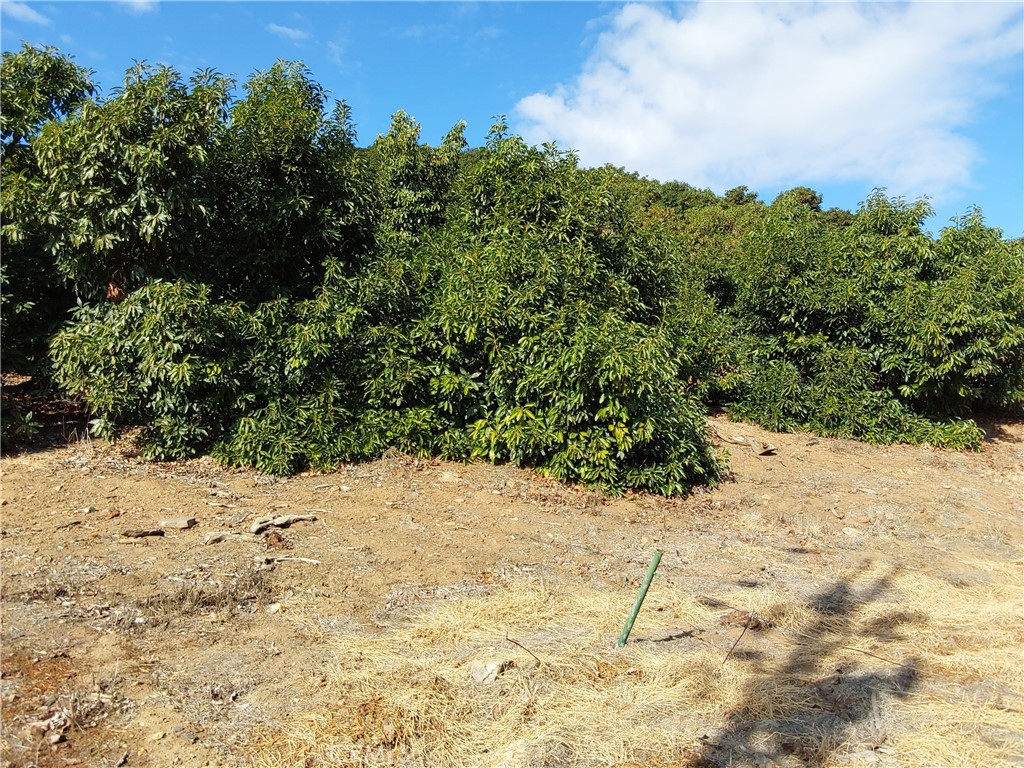 3 Via Vaquero Temecula, CA 92590 - Photo 11 of 38 a view of a yard covered in snow