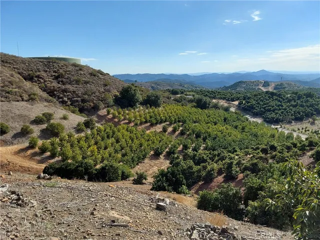 a view of a dry field with mountains in the background